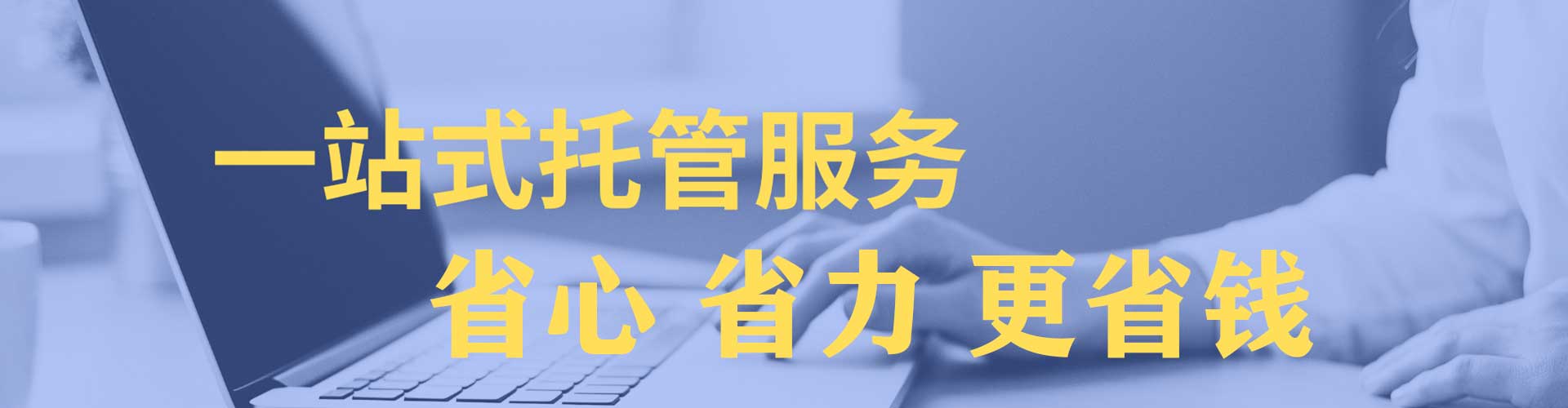 金台竞价端口开户